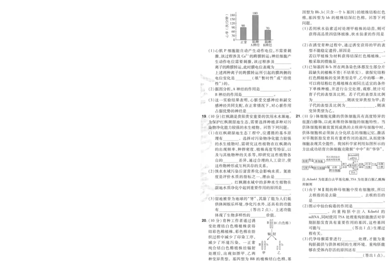 2025《金考卷&middot;特快专递&middot;第3期&middot;生物》A4_2025高中教辅（后续还会更新新习题试卷）_2025版《金考卷特快专递》_2025版金考卷特快专递第三期生物