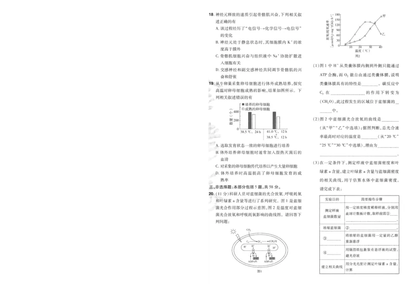 2025《金考卷&middot;特快专递&middot;第3期&middot;生物》A4_2025高中教辅（后续还会更新新习题试卷）_2025版《金考卷特快专递》_2025版金考卷特快专递第三期生物