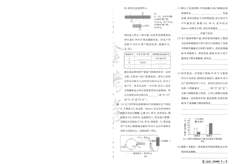 2025《金考卷&middot;特快专递&middot;第3期&middot;生物》A4_2025高中教辅（后续还会更新新习题试卷）_2025版《金考卷特快专递》_2025版金考卷特快专递第三期生物