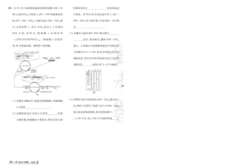 2025《金考卷&middot;特快专递&middot;第3期&middot;生物》A4_2025高中教辅（后续还会更新新习题试卷）_2025版《金考卷特快专递》_2025版金考卷特快专递第三期生物
