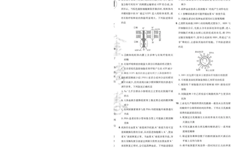 2025《金考卷&middot;特快专递&middot;第3期&middot;生物》A4_2025高中教辅（后续还会更新新习题试卷）_2025版《金考卷特快专递》_2025版金考卷特快专递第三期生物