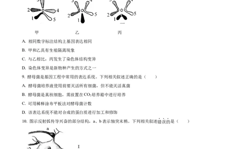 2024年高考生物试卷（江苏）（空白卷）_生物历年高考真题_新&middot;Word版2008-2025&middot;高考生物真题_生物（按年份分类）2008-2025_2024&middot;高考生物真题