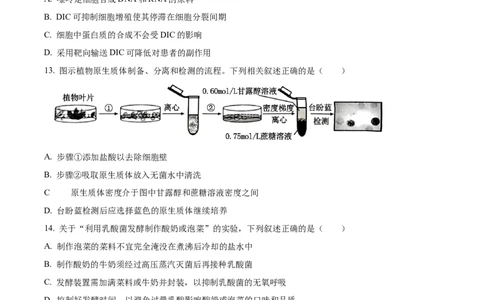 2024年高考生物试卷（江苏）（空白卷）_生物历年高考真题_新&middot;Word版2008-2025&middot;高考生物真题_生物（按年份分类）2008-2025_2024&middot;高考生物真题
