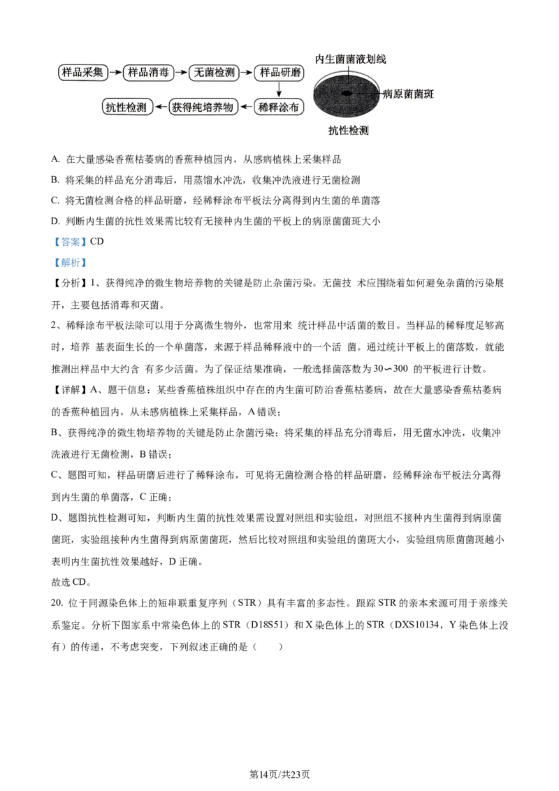 2024年高考生物试卷（辽宁）（解析卷）_生物历年高考真题_新&middot;Word版2008-2025&middot;高考生物真题_生物（按年份分类）2008-2025_2024&middot;高考生物真题
