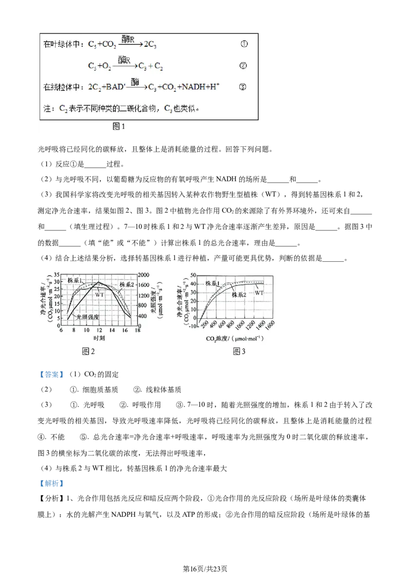 2024年高考生物试卷（辽宁）（解析卷）_生物历年高考真题_新&middot;Word版2008-2025&middot;高考生物真题_生物（按年份分类）2008-2025_2024&middot;高考生物真题