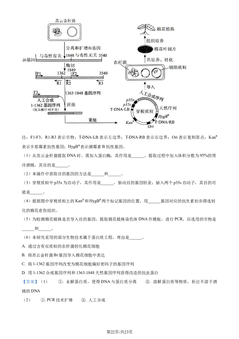 2024年高考生物试卷（辽宁）（解析卷）_生物历年高考真题_新&middot;Word版2008-2025&middot;高考生物真题_生物（按年份分类）2008-2025_2024&middot;高考生物真题