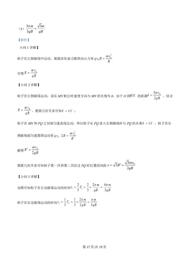 2025年高考物理试卷（湖北卷）（解析卷）_物理历年高考真题_新&middot;PDF版2008-2025&middot;高考物理真题_物理（按年份分类）2008-2025_2025&middot;高考物理真题