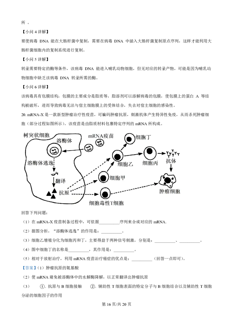 2025年高考生物试卷（湖北卷）（解析卷）_生物历年高考真题_新&middot;PDF版2008-2025&middot;高考生物真题_生物（按年份分类）2008-2025_2025&middot;高考生物真题