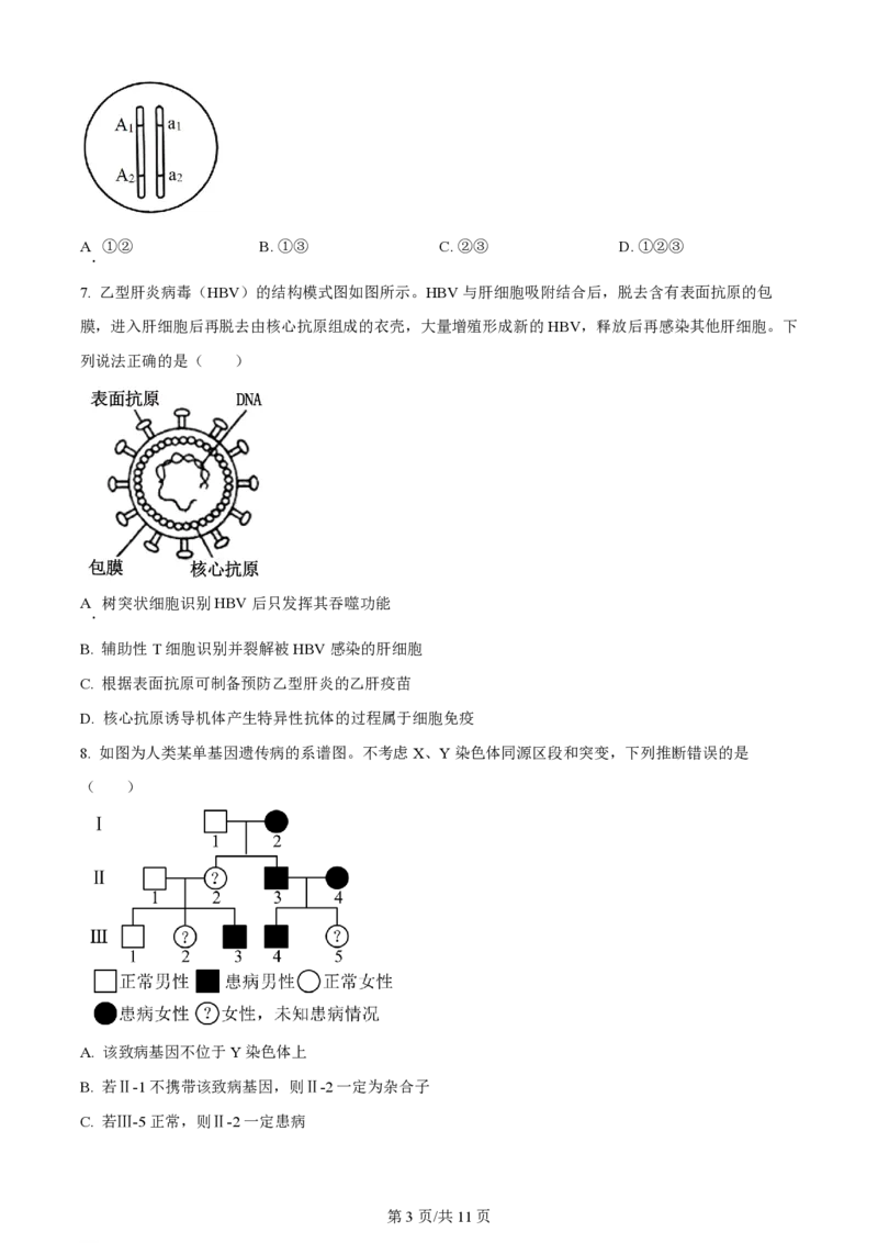 2024年高考生物试卷（山东）（空白卷）_生物历年高考真题_新&middot;PDF版2008-2025&middot;高考生物真题_生物（按年份分类）2008-2025_2024&middot;高考生物真题