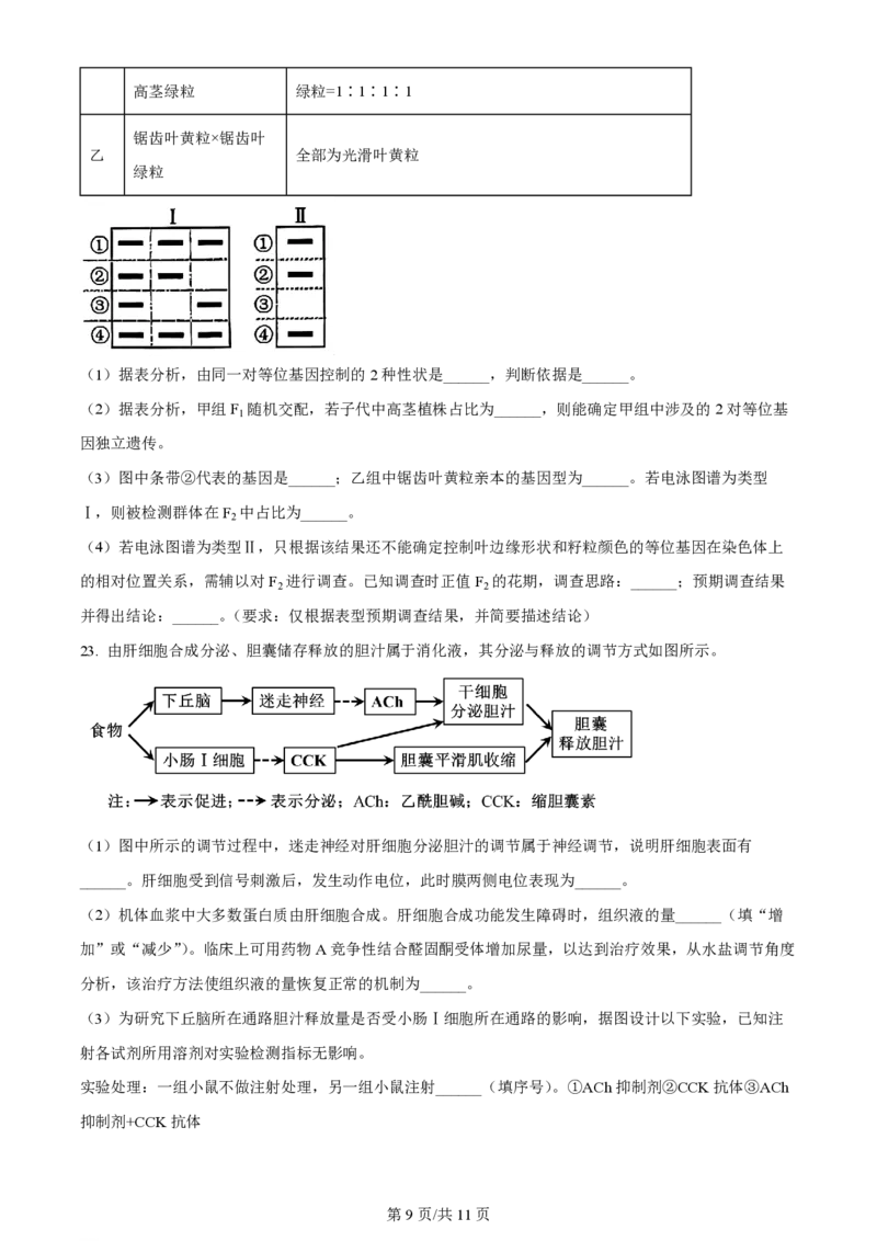 2024年高考生物试卷（山东）（空白卷）_生物历年高考真题_新&middot;PDF版2008-2025&middot;高考生物真题_生物（按年份分类）2008-2025_2024&middot;高考生物真题