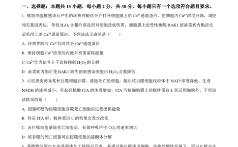 2024年高考生物试卷（山东）（空白卷）_生物历年高考真题_新&middot;PDF版2008-2025&middot;高考生物真题_生物（按年份分类）2008-2025_2024&middot;高考生物真题
