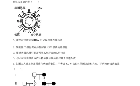 2024年高考生物试卷（山东）（空白卷）_生物历年高考真题_新&middot;PDF版2008-2025&middot;高考生物真题_生物（按年份分类）2008-2025_2024&middot;高考生物真题
