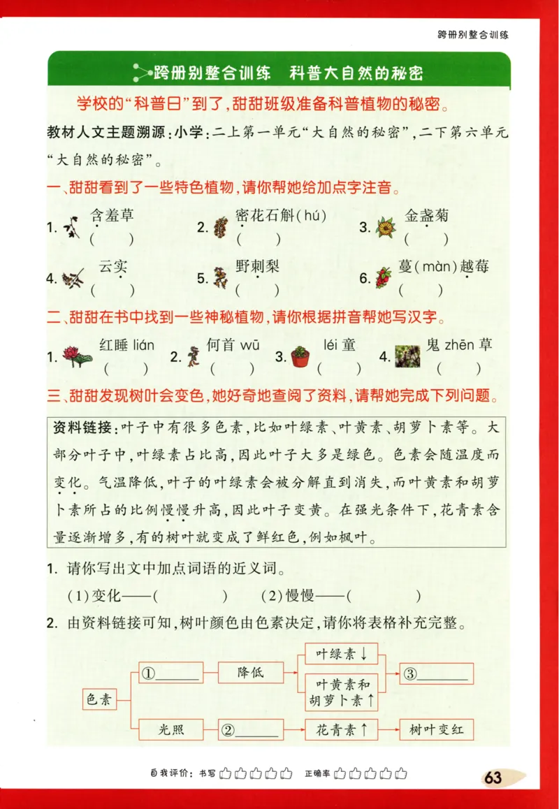 《小白欧》情境题-语文2年级下册（RJ）_二年级上下册资料_小学二年级学习资料-25年更新版_2-02、小学二年级语文下册_2-2-2、练习题、作业、试题、试卷_电子册类