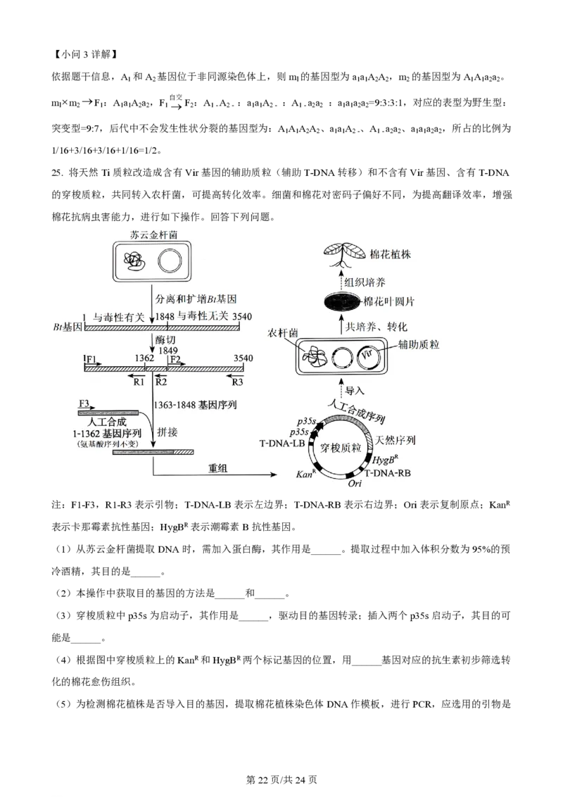 2024年高考生物试卷（辽宁）（解析卷）_生物历年高考真题_新&middot;PDF版2008-2025&middot;高考生物真题_生物（按年份分类）2008-2025_2024&middot;高考生物真题