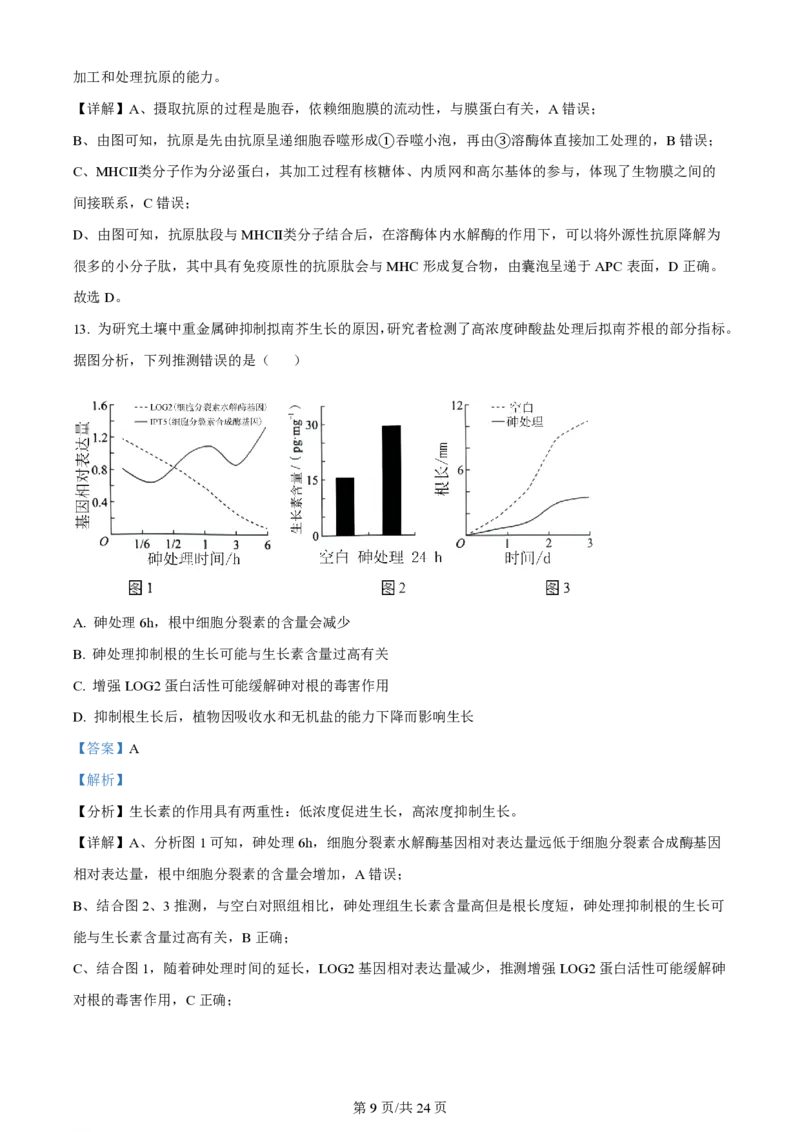 2024年高考生物试卷（辽宁）（解析卷）_生物历年高考真题_新&middot;PDF版2008-2025&middot;高考生物真题_生物（按年份分类）2008-2025_2024&middot;高考生物真题