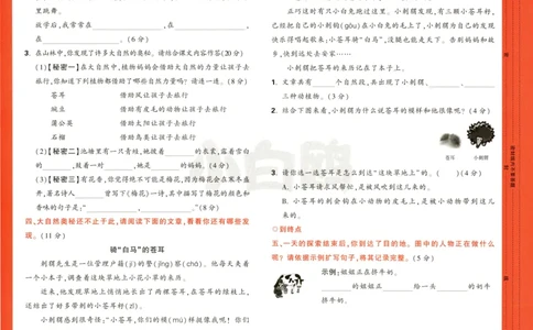 《小白欧》情境题语文2年级上册（RJ）测试卷_二年级上下册资料_小学二年级学习资料-25年更新版_2-01、小学二年级语文上册_2-1-2、练习题、作业、试题、试卷_电子册类