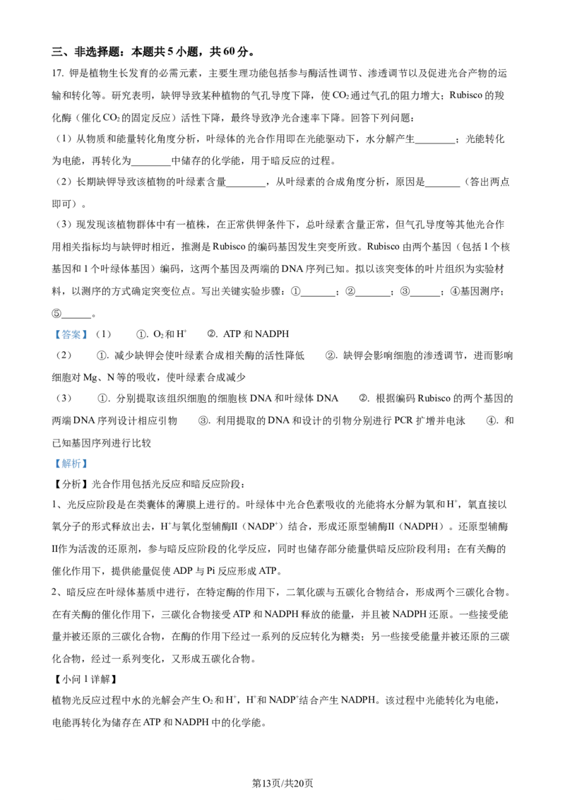 2024年高考生物试卷（湖南）（解析卷）_生物历年高考真题_新&middot;Word版2008-2025&middot;高考生物真题_生物（按年份分类）2008-2025_2024&middot;高考生物真题