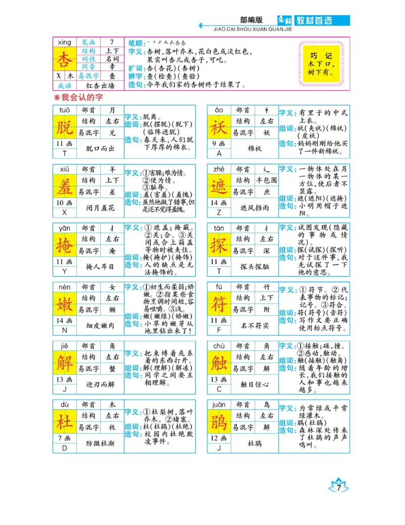 《教材首选全解》语文2年级下册（RJ）_二年级上下册资料_小学二年级学习资料-25年更新版_2-02、小学二年级语文下册_2-2-2、练习题、作业、试题、试卷_电子册类_教材解读