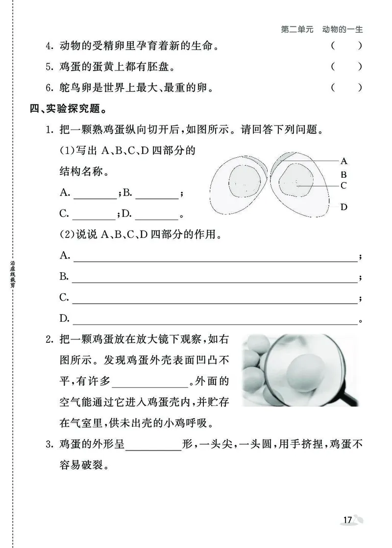 《同步练习》3年级下册（教科版）_三年级上下册资料_小学三年级学习资料-25年更新版_3-10、小学三年级科学下册_教科版_电子册类