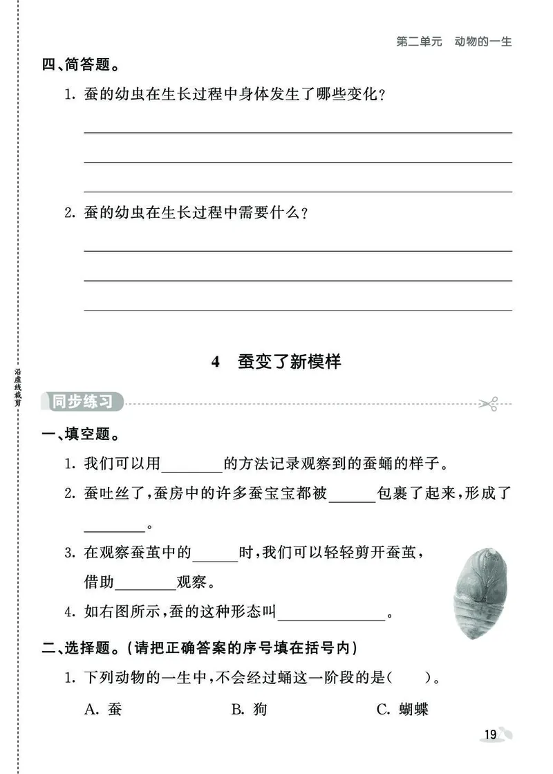 《同步练习》3年级下册（教科版）_三年级上下册资料_小学三年级学习资料-25年更新版_3-10、小学三年级科学下册_教科版_电子册类