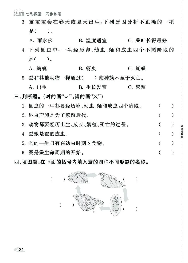 《同步练习》3年级下册（教科版）_三年级上下册资料_小学三年级学习资料-25年更新版_3-10、小学三年级科学下册_教科版_电子册类