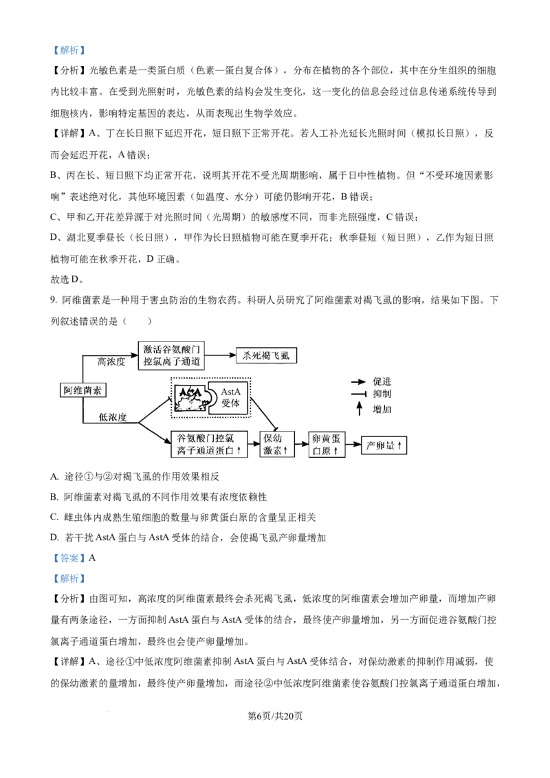 2025年高考生物试卷（湖北卷）（解析卷）_生物历年高考真题_新&middot;Word版2008-2025&middot;高考生物真题_生物（按年份分类）2008-2025_2025&middot;高考生物真题