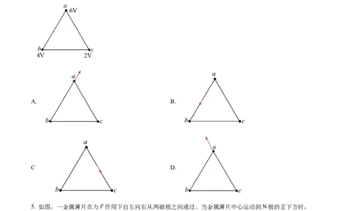 2025年高考物理试卷（河南卷）（空白卷）_物理历年高考真题_新&middot;Word版2008-2025&middot;高考物理真题_物理（按年份分类）2008-2025_2025&middot;高考物理真题