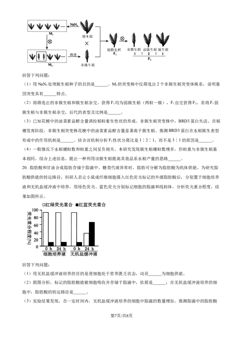 2024年高考生物试卷（福建）（空白卷）_生物历年高考真题_新&middot;Word版2008-2025&middot;高考生物真题_生物（按年份分类）2008-2025_2024&middot;高考生物真题