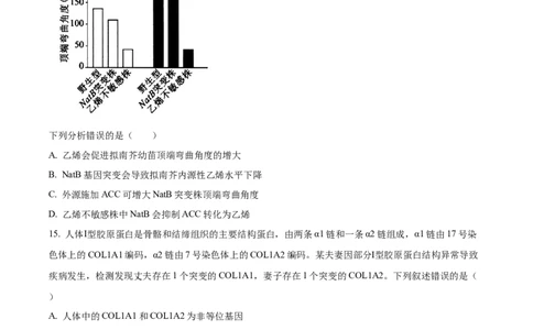 2024年高考生物试卷（福建）（空白卷）_生物历年高考真题_新&middot;Word版2008-2025&middot;高考生物真题_生物（按年份分类）2008-2025_2024&middot;高考生物真题