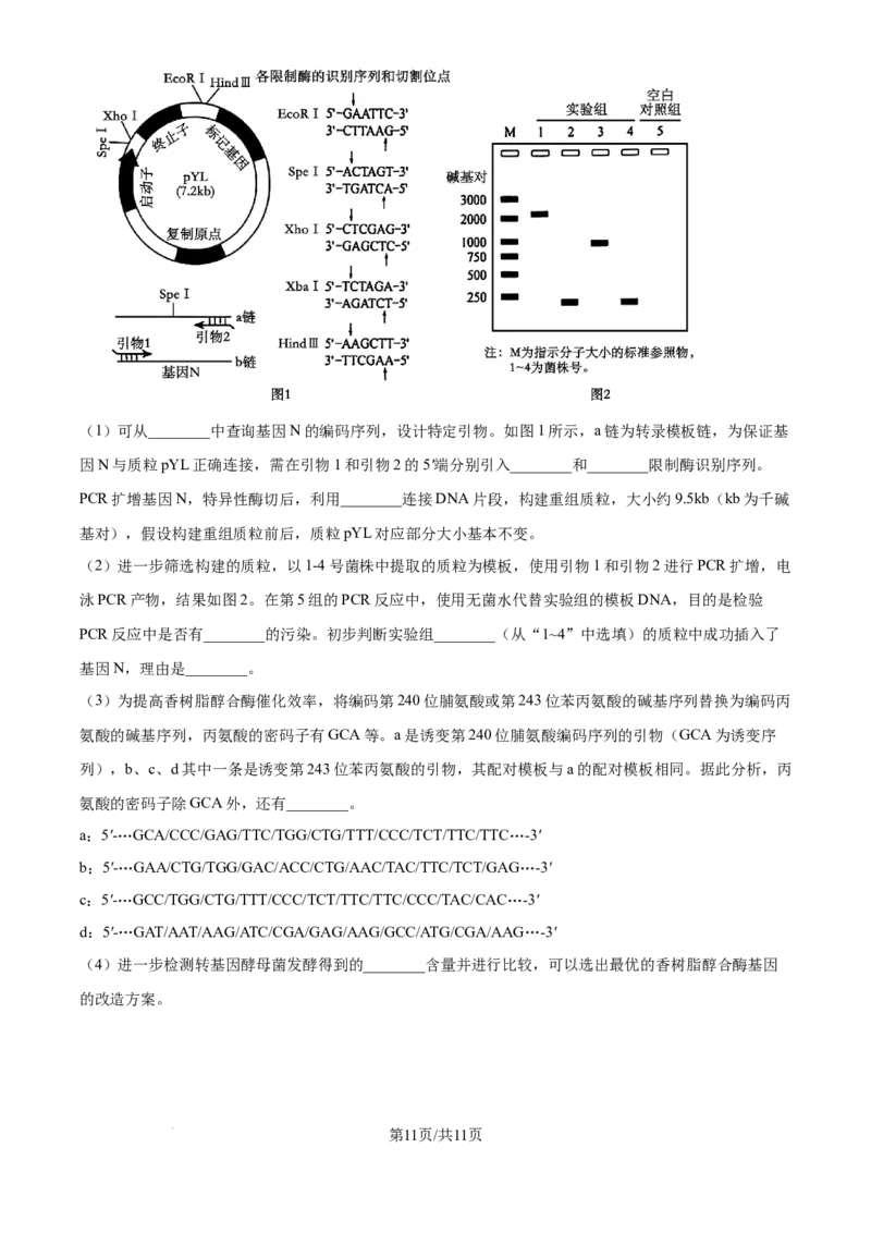2025年高考生物试卷（黑吉辽蒙卷）（空白卷）_生物历年高考真题_新&middot;Word版2008-2025&middot;高考生物真题_生物（按年份分类）2008-2025_2025&middot;高考生物真题