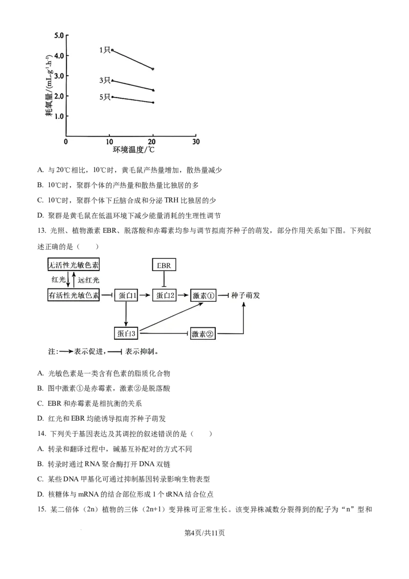 2025年高考生物试卷（黑吉辽蒙卷）（空白卷）_生物历年高考真题_新&middot;Word版2008-2025&middot;高考生物真题_生物（按年份分类）2008-2025_2025&middot;高考生物真题