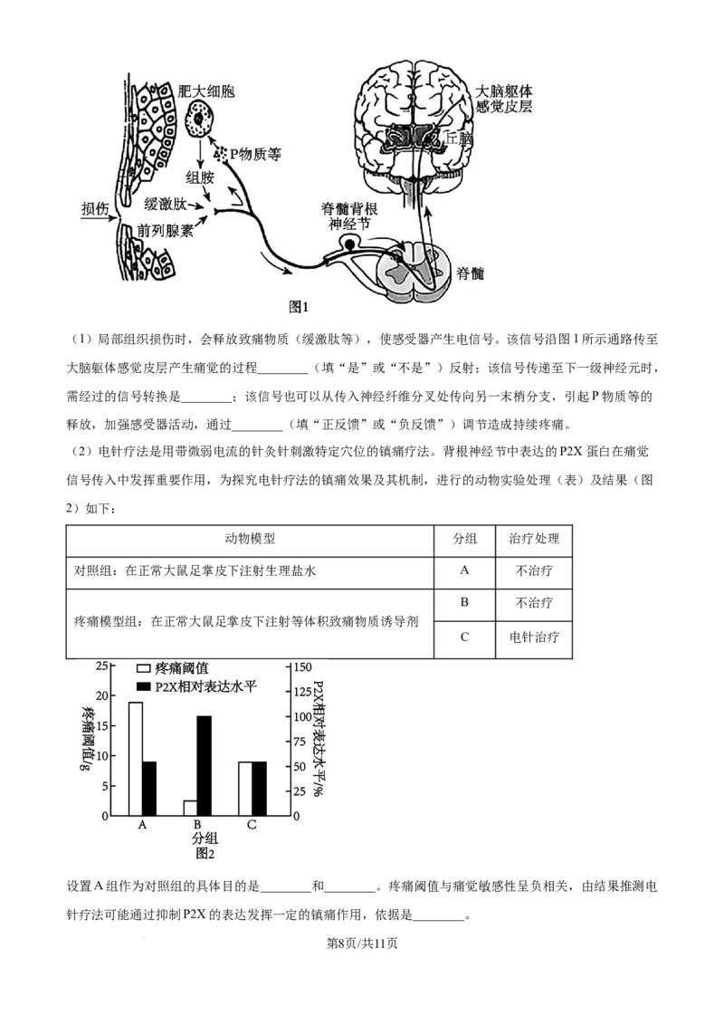 2025年高考生物试卷（黑吉辽蒙卷）（空白卷）_生物历年高考真题_新&middot;Word版2008-2025&middot;高考生物真题_生物（按年份分类）2008-2025_2025&middot;高考生物真题