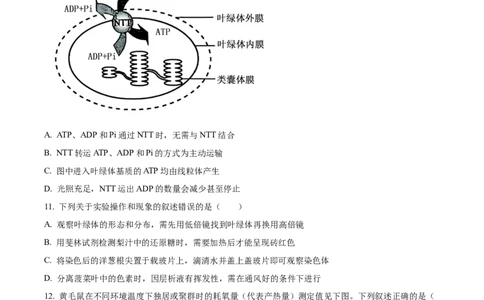 2025年高考生物试卷（黑吉辽蒙卷）（空白卷）_生物历年高考真题_新&middot;Word版2008-2025&middot;高考生物真题_生物（按年份分类）2008-2025_2025&middot;高考生物真题