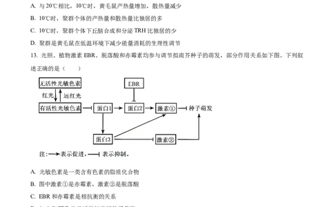 2025年高考生物试卷（黑吉辽蒙卷）（空白卷）_生物历年高考真题_新&middot;Word版2008-2025&middot;高考生物真题_生物（按年份分类）2008-2025_2025&middot;高考生物真题