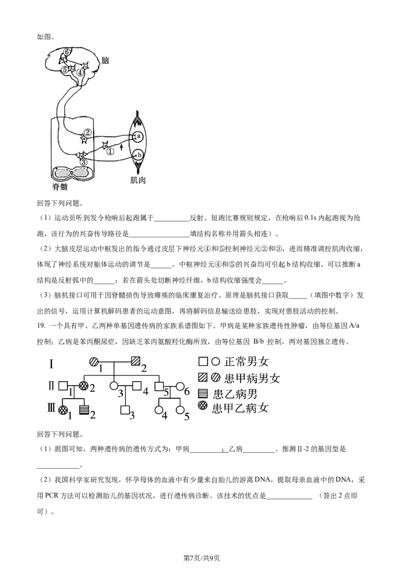 2024年高考生物试卷（安徽）（空白卷）_生物历年高考真题_新&middot;Word版2008-2025&middot;高考生物真题_生物（按年份分类）2008-2025_2024&middot;高考生物真题