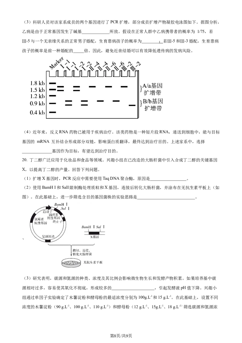 2024年高考生物试卷（安徽）（空白卷）_生物历年高考真题_新&middot;Word版2008-2025&middot;高考生物真题_生物（按年份分类）2008-2025_2024&middot;高考生物真题