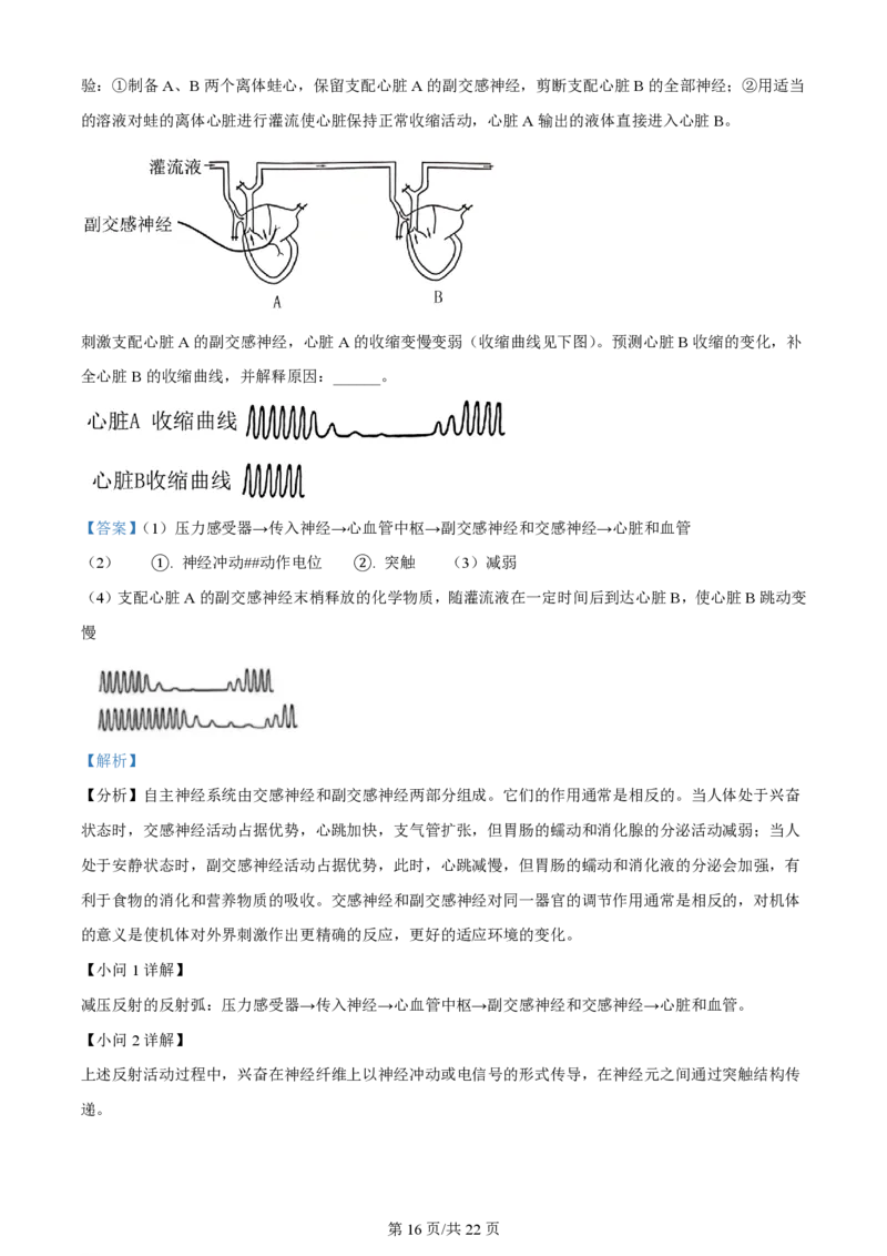 2024年高考生物试卷（甘肃）（解析卷）_生物历年高考真题_新&middot;PDF版2008-2025&middot;高考生物真题_生物（按年份分类）2008-2025_2024&middot;高考生物真题