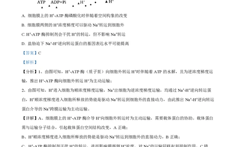 2024年高考生物试卷（甘肃）（解析卷）_生物历年高考真题_新&middot;PDF版2008-2025&middot;高考生物真题_生物（按年份分类）2008-2025_2024&middot;高考生物真题