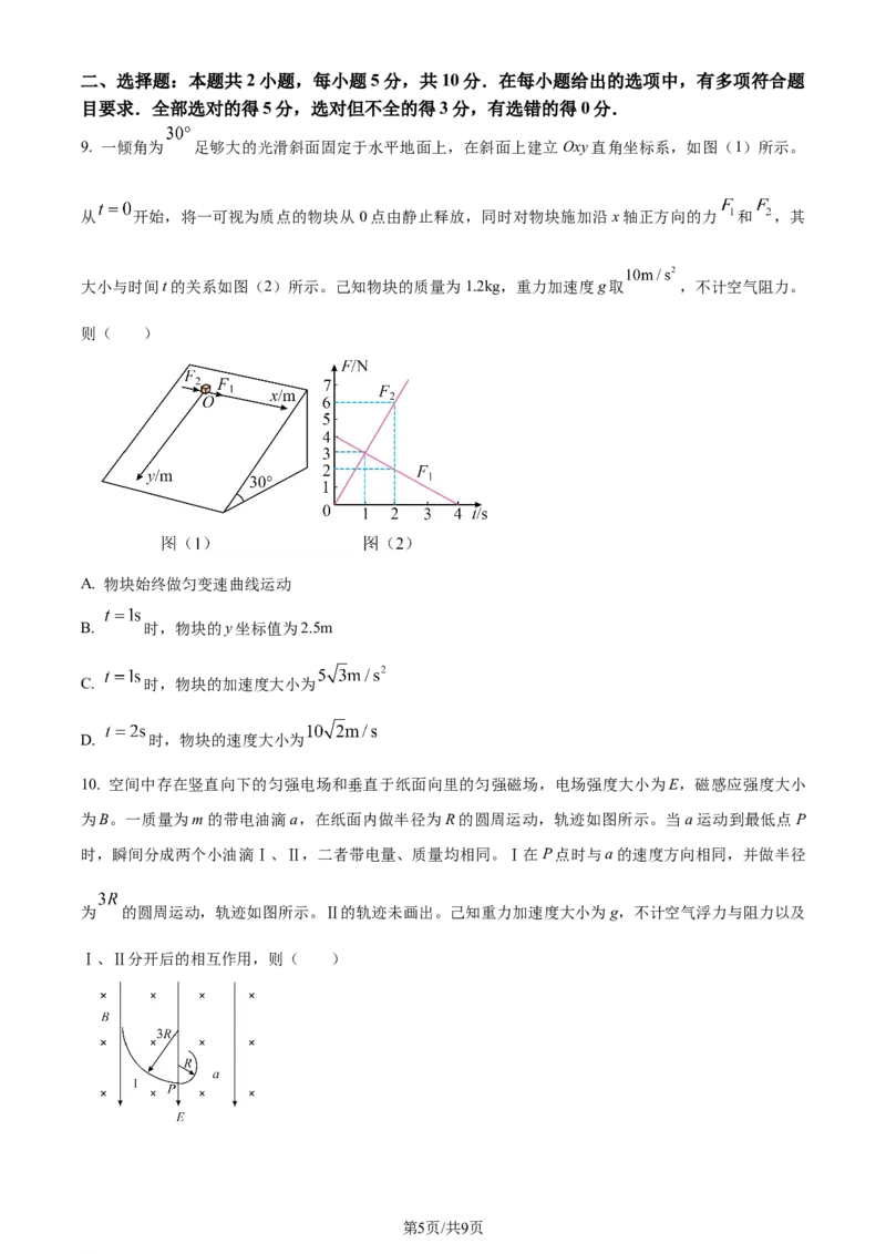 2024年高考物理试卷（安徽）（空白卷）_物理历年高考真题_新&middot;Word版2008-2025&middot;高考物理真题_物理（按年份分类）2008-2025_2024&middot;高考物理真题