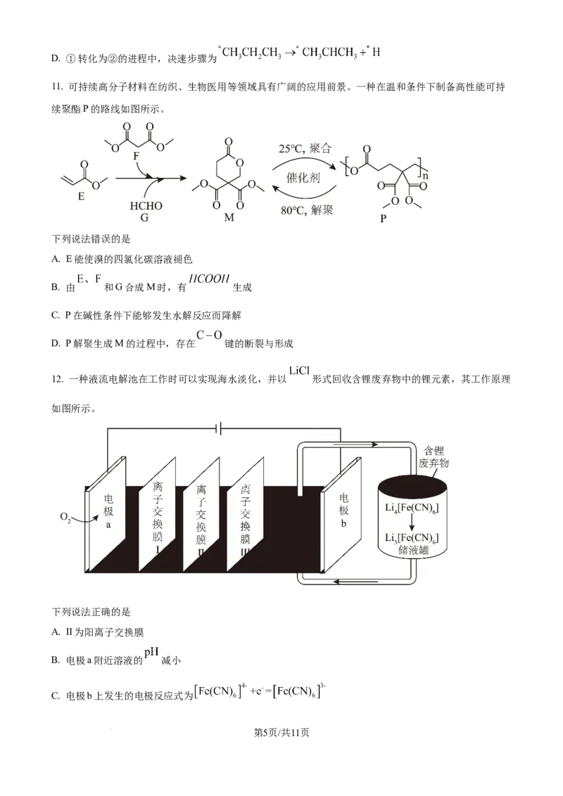 2025年高考化学试卷（河南卷）（空白卷）_历年高考真题合集_化学历年高考真题_新&middot;Word版2008-2025&middot;高考化学真题_化学（按年份分类）2008-2025_2025&middot;高考化学真题