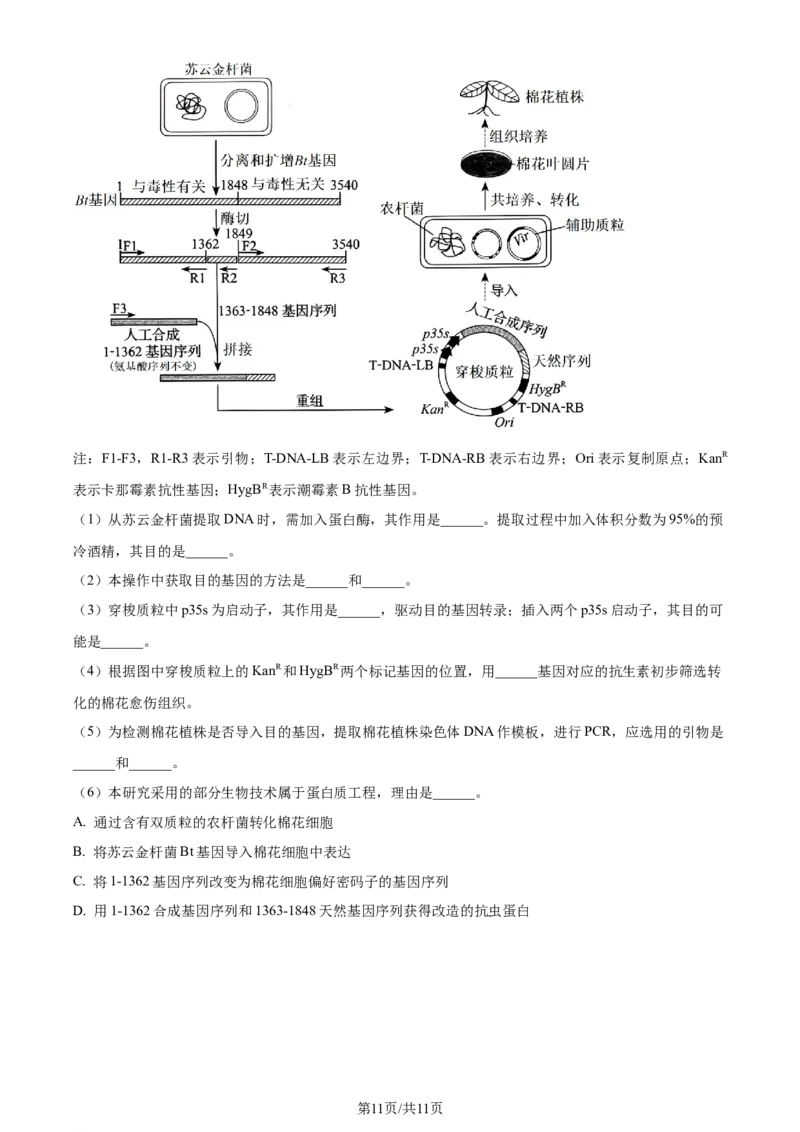 2024年高考生物试卷（辽宁）（空白卷）_生物历年高考真题_新&middot;Word版2008-2025&middot;高考生物真题_生物（按年份分类）2008-2025_2024&middot;高考生物真题