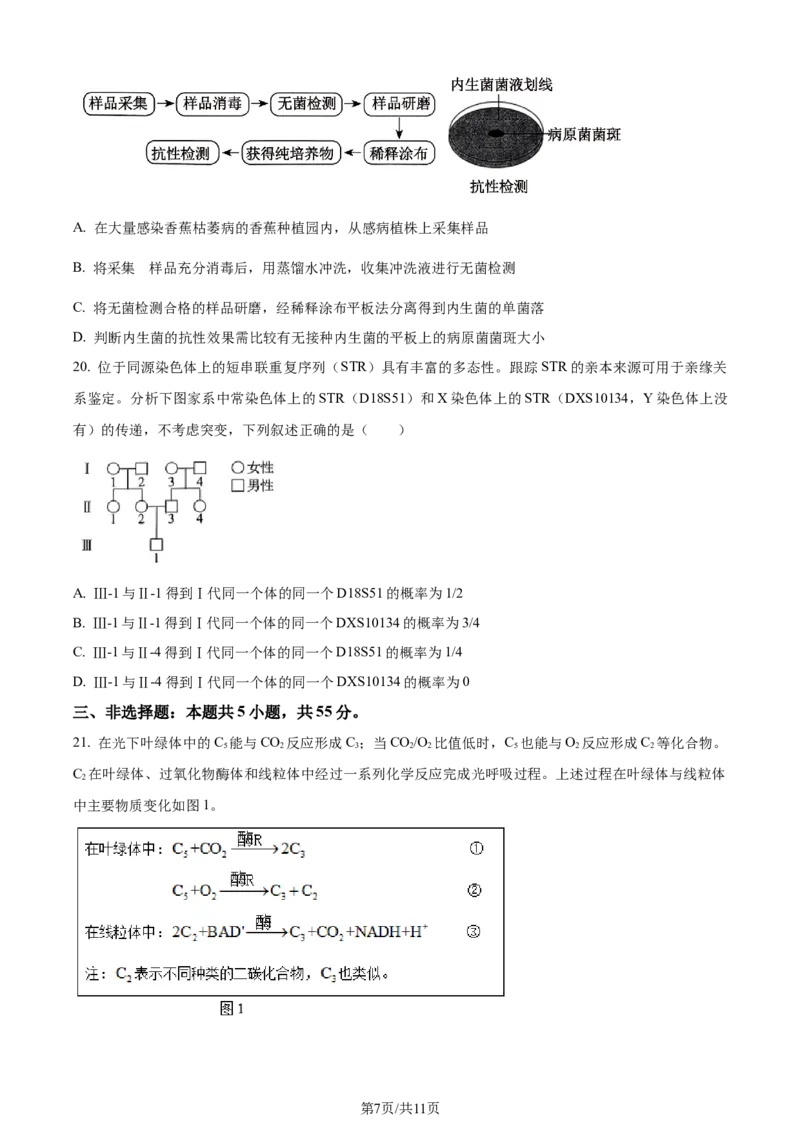 2024年高考生物试卷（辽宁）（空白卷）_生物历年高考真题_新&middot;Word版2008-2025&middot;高考生物真题_生物（按年份分类）2008-2025_2024&middot;高考生物真题