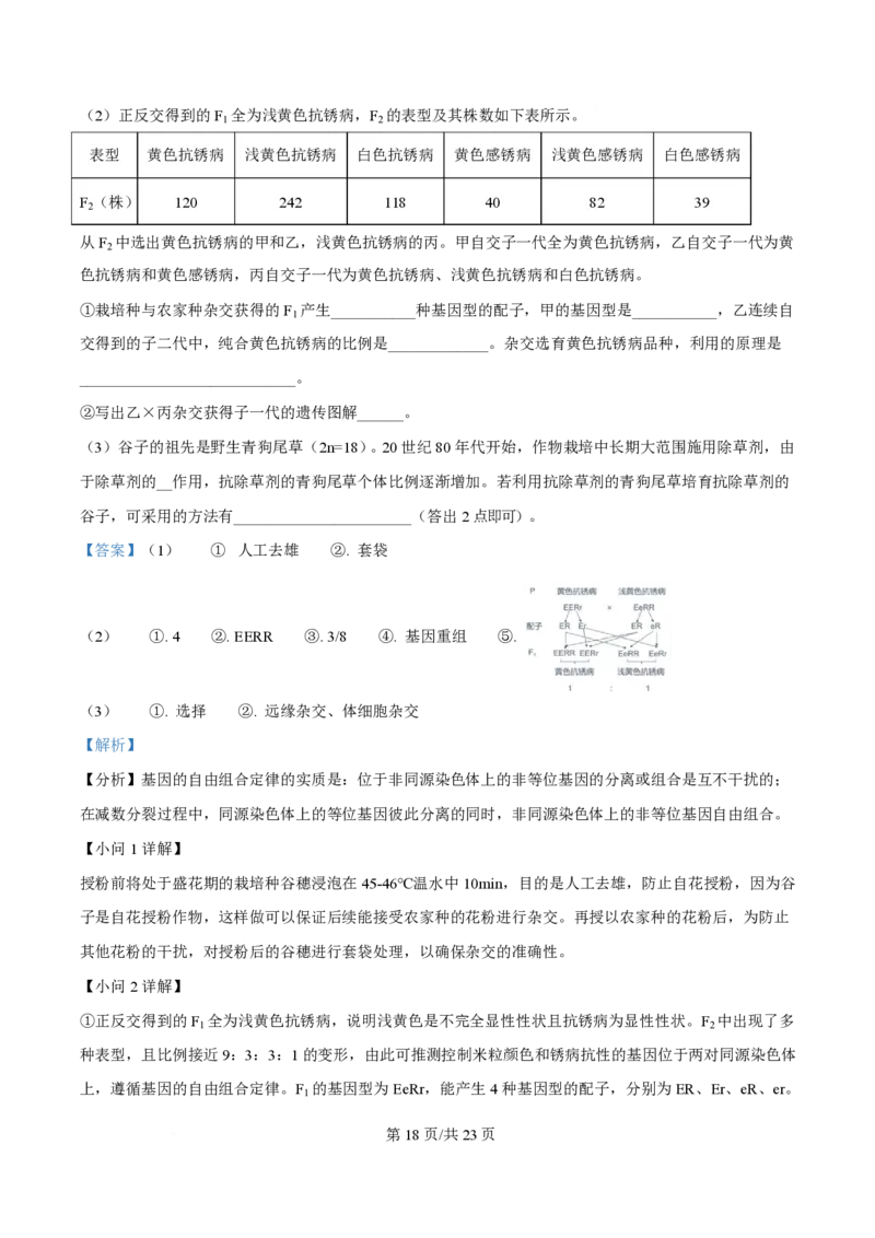 2025年高考生物试卷（浙江1月卷）（解析卷）_生物历年高考真题_新&middot;PDF版2008-2025&middot;高考生物真题_生物（按年份分类）2008-2025_2025&middot;高考生物真题