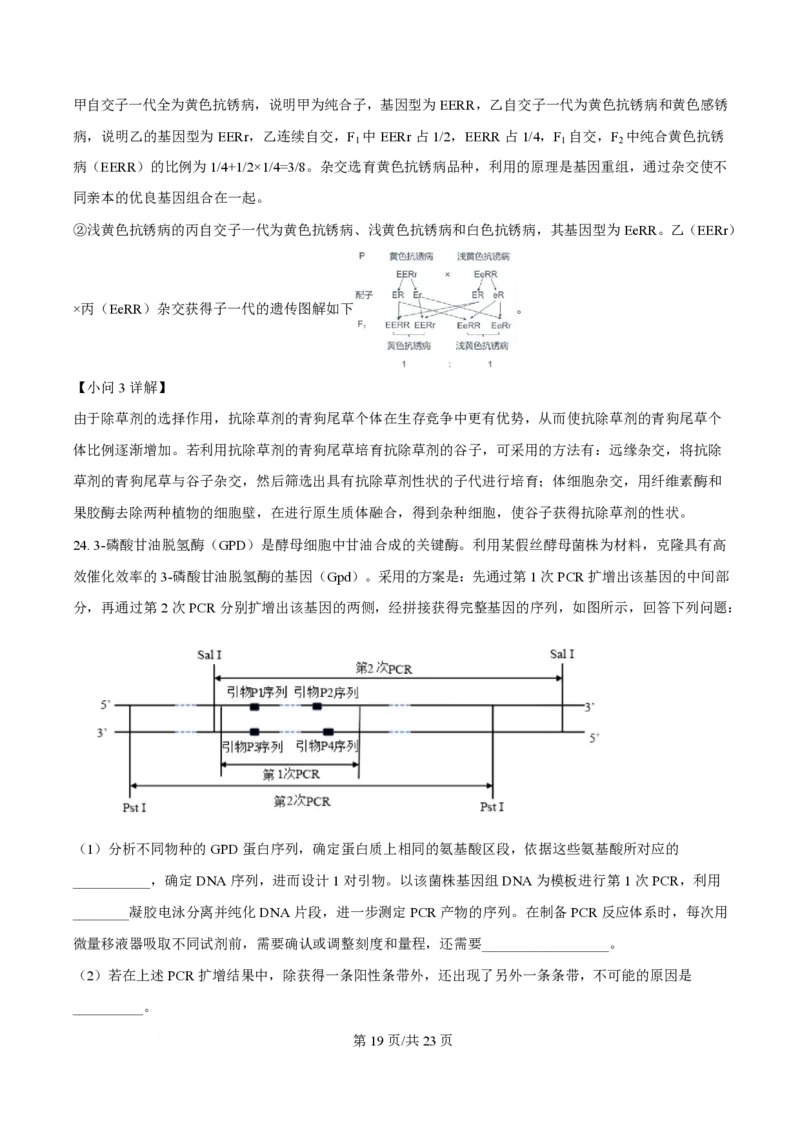 2025年高考生物试卷（浙江1月卷）（解析卷）_生物历年高考真题_新&middot;PDF版2008-2025&middot;高考生物真题_生物（按年份分类）2008-2025_2025&middot;高考生物真题