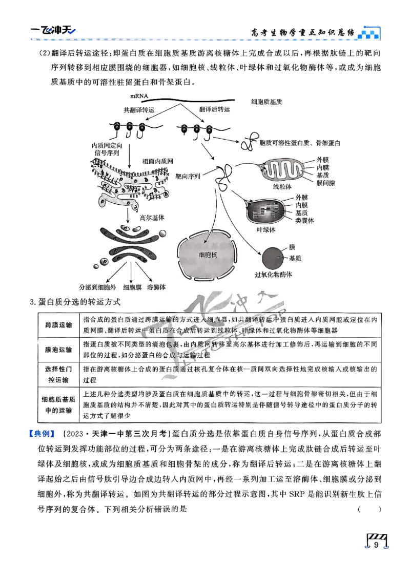 2025《一飞冲天&bull;高考抢分卷》生物考前20天_2025高中教辅（后续还会更新新习题试卷）_《一飞冲天高考抢分卷》2025版