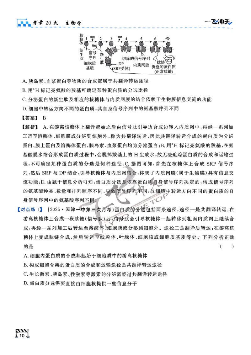2025《一飞冲天&bull;高考抢分卷》生物考前20天_2025高中教辅（后续还会更新新习题试卷）_《一飞冲天高考抢分卷》2025版