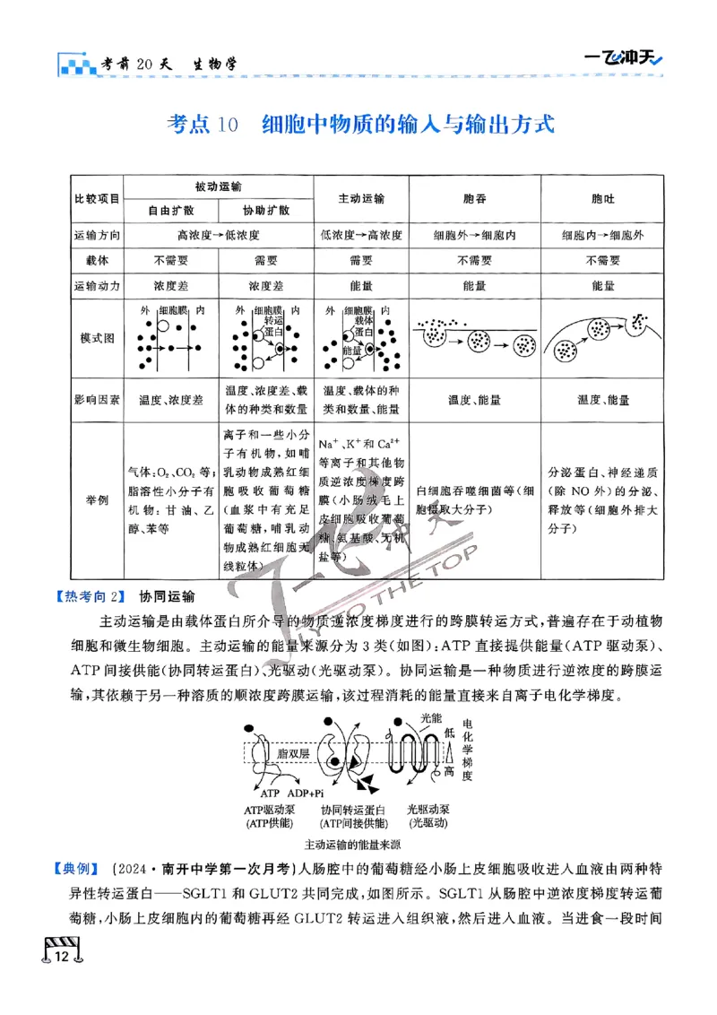 2025《一飞冲天&bull;高考抢分卷》生物考前20天_2025高中教辅（后续还会更新新习题试卷）_《一飞冲天高考抢分卷》2025版