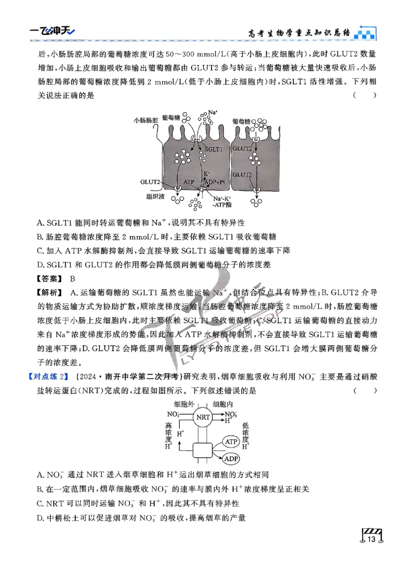 2025《一飞冲天&bull;高考抢分卷》生物考前20天_2025高中教辅（后续还会更新新习题试卷）_《一飞冲天高考抢分卷》2025版