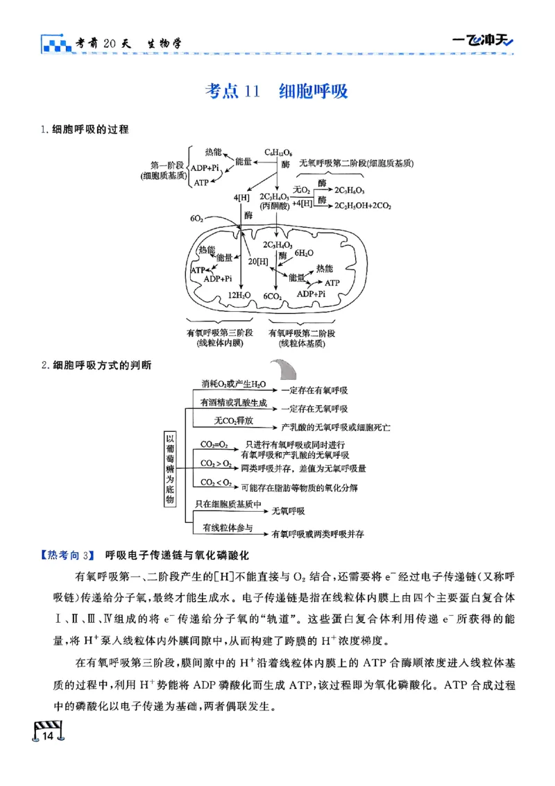 2025《一飞冲天&bull;高考抢分卷》生物考前20天_2025高中教辅（后续还会更新新习题试卷）_《一飞冲天高考抢分卷》2025版