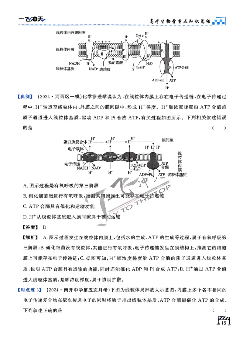 2025《一飞冲天&bull;高考抢分卷》生物考前20天_2025高中教辅（后续还会更新新习题试卷）_《一飞冲天高考抢分卷》2025版